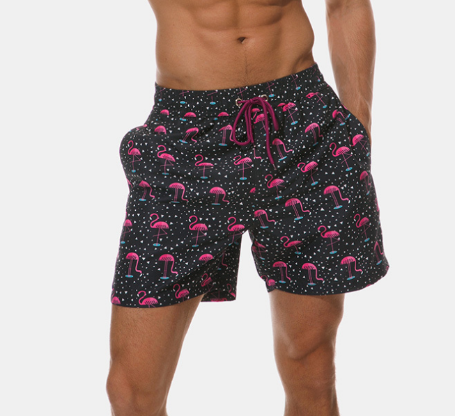 Men's Quick-Dry Loose-Fit Printed Beach Shorts